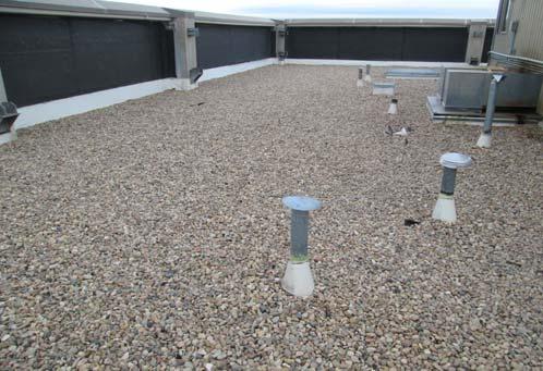 Comp # : 2377 Roof: Low Slope - Replace Location : Rooftop of building Quantity: ~ 19,300 GSF Evaluation : Surface of the roof was an EPDM roof. Slope of the roof appeared adequate.