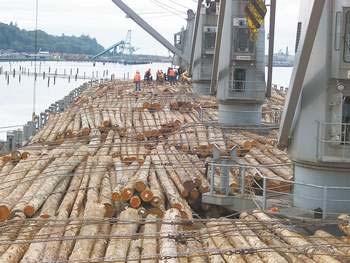 Logs Can be loaded at deck Vessel has to erect stanchions on deck