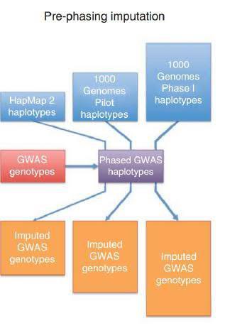 Imputation (Pre-)Phasing - haplotype estimation Use genotype data to