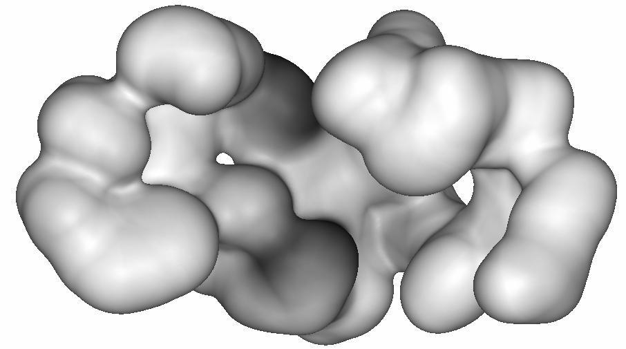bifidum) Mupirocin binding site