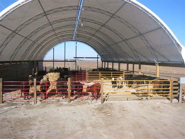 Beef Cattle Feeding in a Deep Bedded Hoop Barn: A Preliminary St