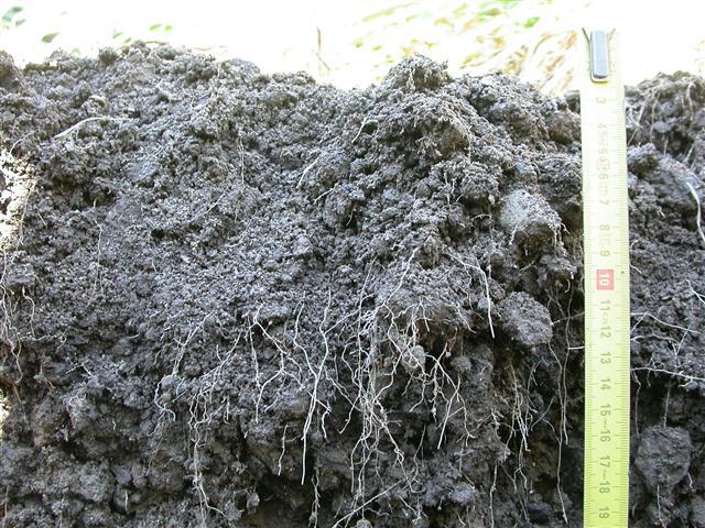 Soil quality and soil health Quality: mainly physical