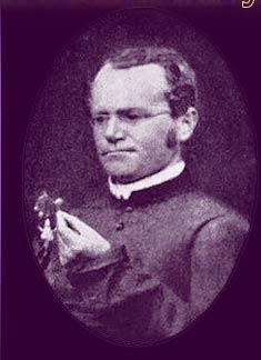Gregor Mendel Father of Genetics discovered that factors or alleles