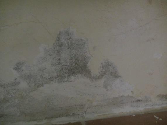Mindarie c) It appears the shower grouting to the Bathroom and Ensuite may have broken down and caused moisture damage to the reverse side of the wall. This is a very common issue with showers.