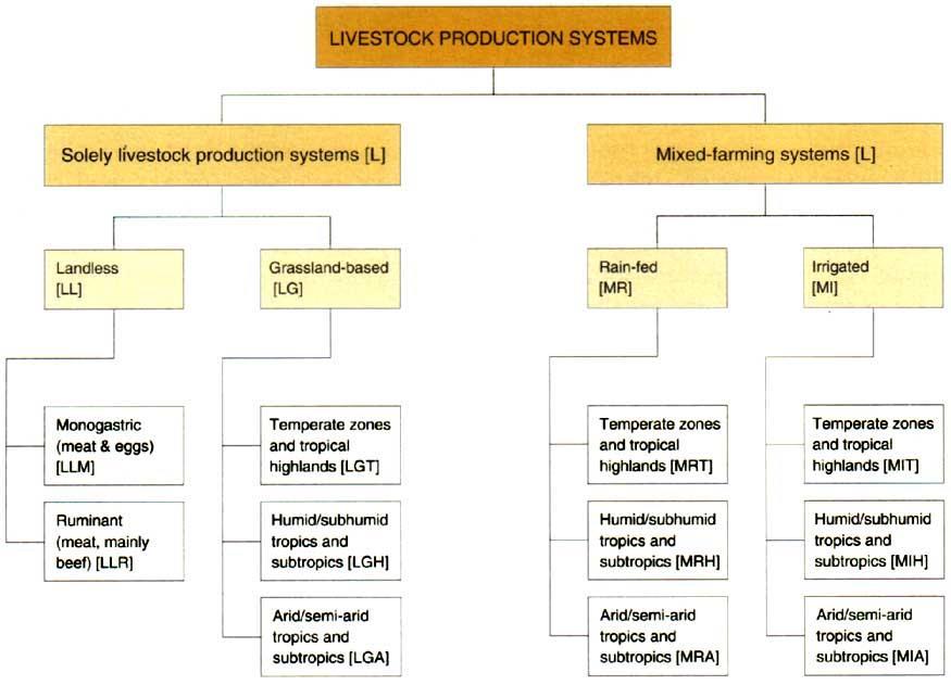Global Livestock Systems
