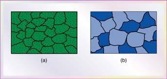 3 (a) Schematic illustration of grains, grain boundaries, and particles dispersed throughout