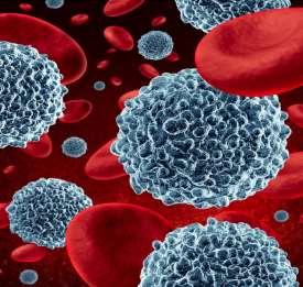 Challenges of PBMC Opportunity: Peripheral Blood Mononuclear Cell (PBMC) are an essential part of the immune system It enables to evaluate immune modulation & the immunogenicity of drugs