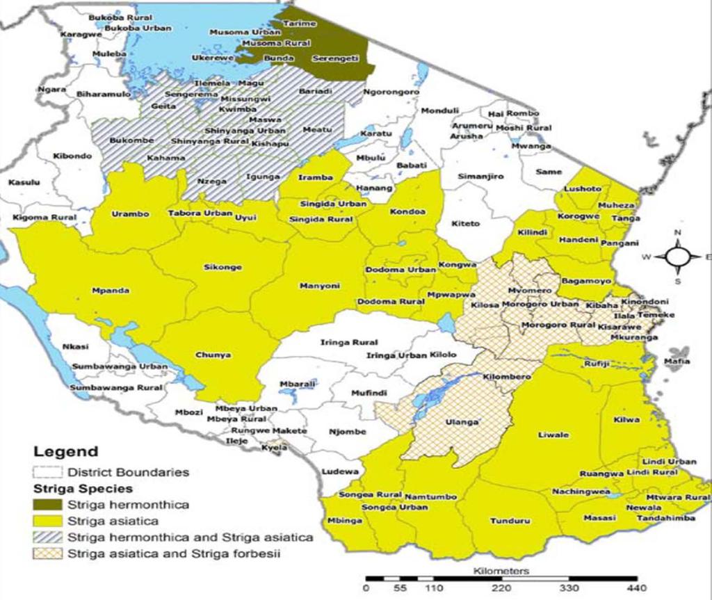 Striga distribution map within the