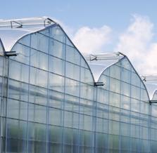 ROOF VENTILATION As in all Harnois greenhouses, the Luminosa is
