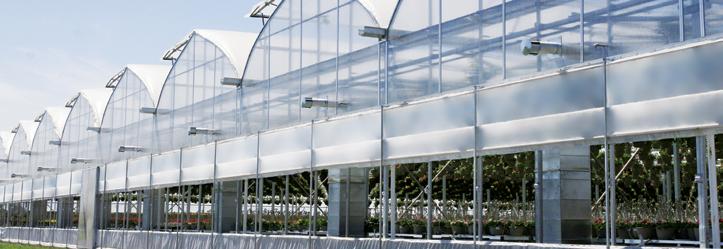 COVERING The right greenhouse structure can have a tremendous impact on the luminosity levels