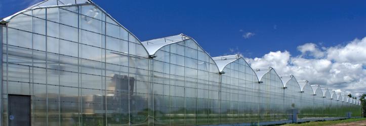 Harnois selects only the most evolved greenhouse coverings, based on translucency and durability.