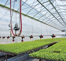 greenhouse equipment to