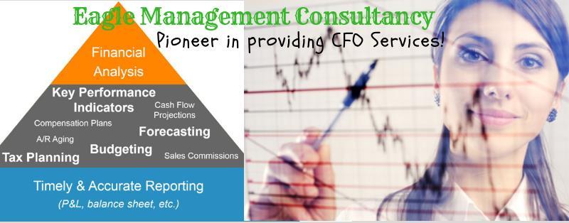 Virtual CFO Services includes; Strategy Review of a business Cash Flow Management Profit maximization Strategic Planning and development Accounting System Implementation Overseeing Bookkeeping/ month