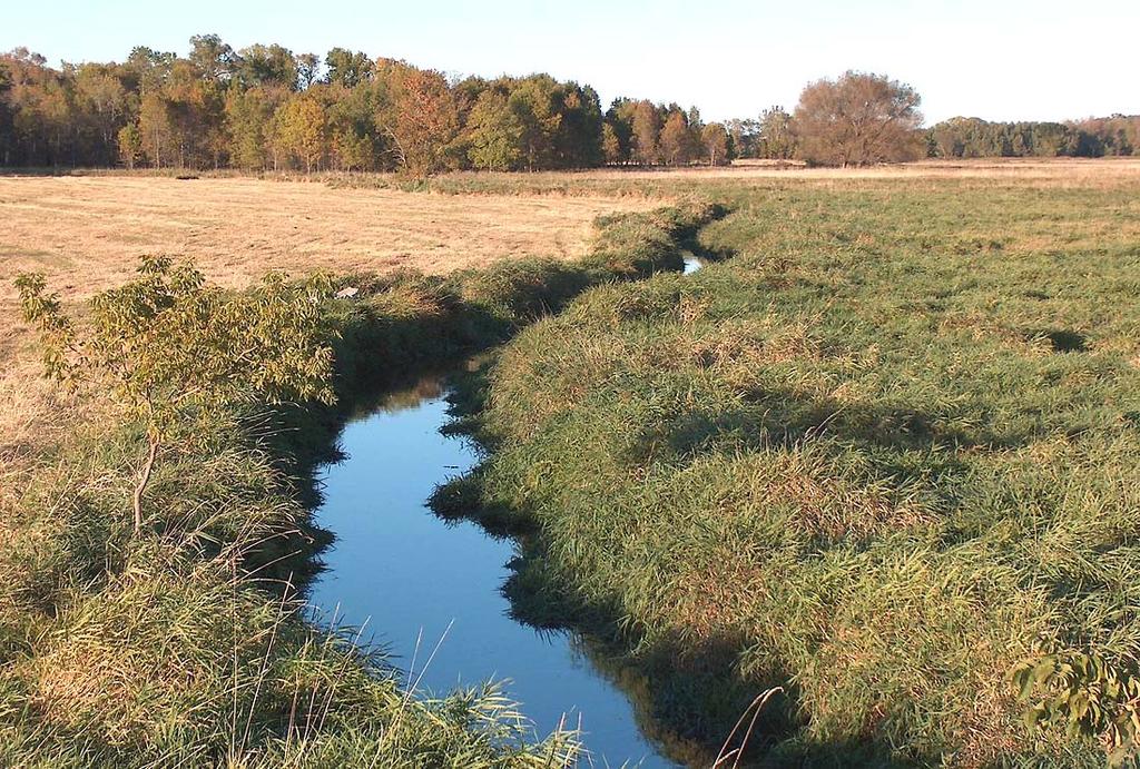 Balancing Groundwater Water Supply Needs With Surface Water Impacts