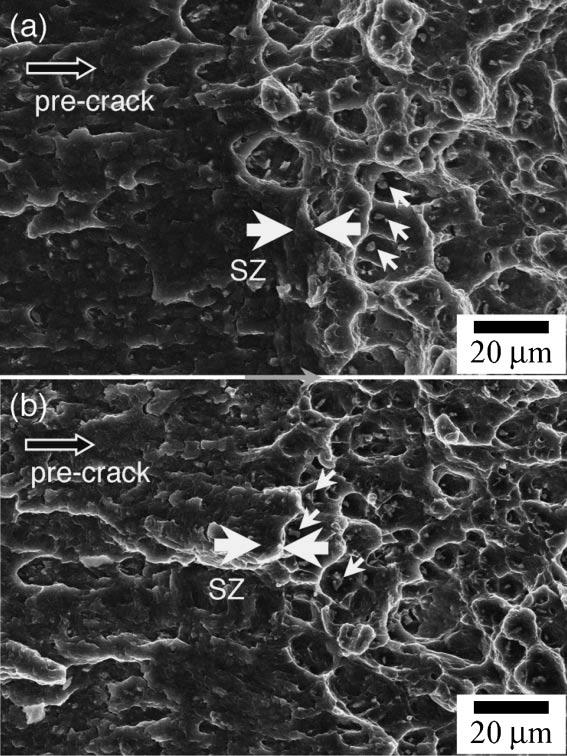1950 H. Somekawa, A. Singh, Y. Osawa and T. Mukai Fig. 5 Typical SEM micrographs of the fracture surface after the fracture toughness test based on ASTM E399: (a) Mg-Zn-Ho and (b) Mg-Zn-Er alloys.