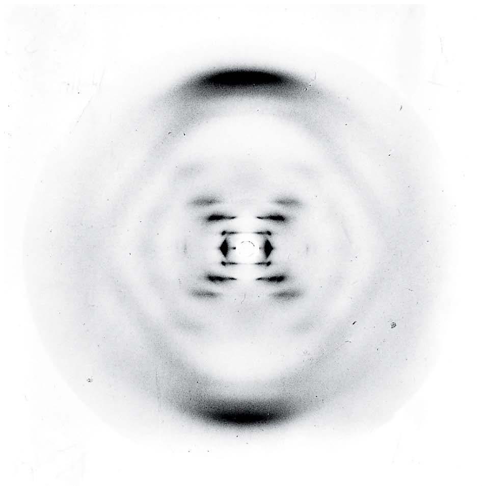 Photograph of the x-ray