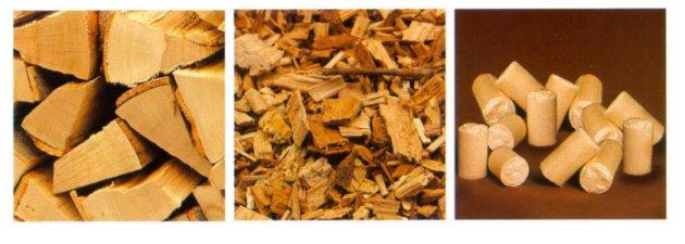 BIOMASS 5: Pellets and bio-briquettes briquettes 1 Can be produced from any combustible wastes suitable for firing (wastes from the wood processing industry, agriculture, sewage) Sawdust or the