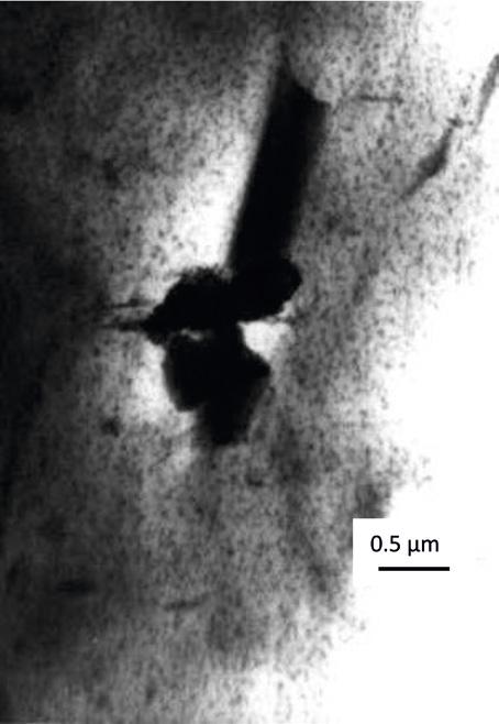 Fig. 13. The microstructure of silicon transformer steel (nr 1) obtained in transmission electron microscope with AlN precipitate visible.