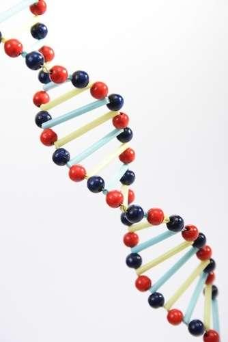 A gene is a DNA sequence coding for