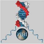 BDtract TM RNA/DNA Isolation Kit Instruction