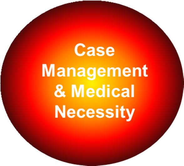 Senior clinicians are regionally dedicated for both case management operations and medical necessity education, supporting MPI efforts through ALOS management, medical necessity and level