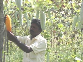 Sivakumar, a progressive farmer aged 42, residing at Vanathirayanpattinam village, Jayankondam block of Ariyalur District, Tamil Nadu who is having 20 acres of land cultivating sugarcane, groundnut,