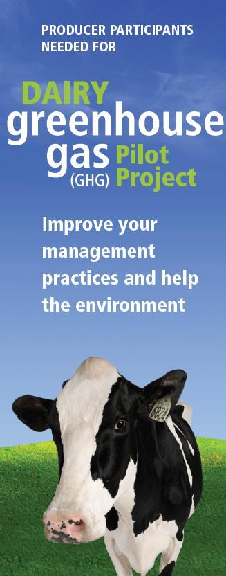 Dairy Protocol - 2010 Improved feed quality, manure manage