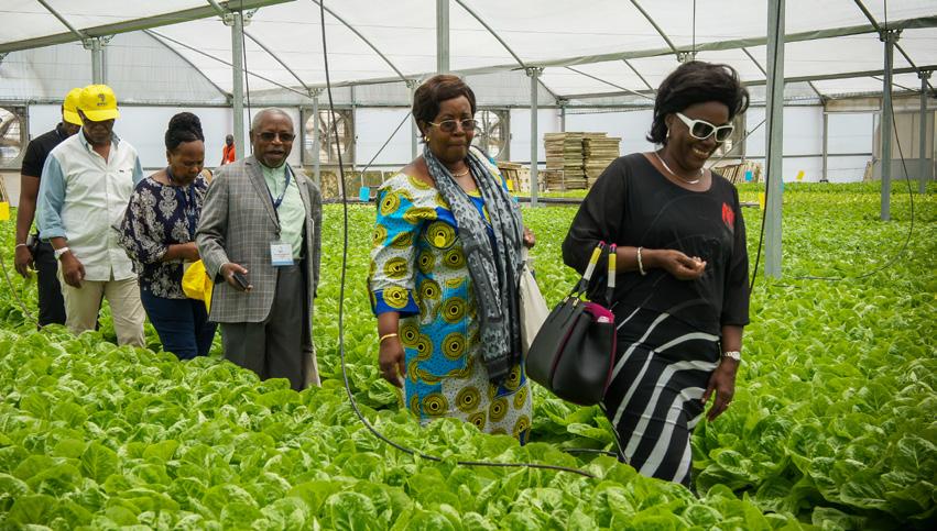 Visit to greenhouses To face tough weather conditions, land and water scarcities, Israel developed technologies allowing for a maximum agricultural output using greenhouse technologies, special