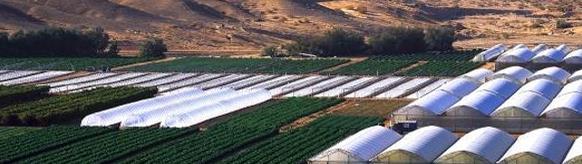 ISRAELI ARAVA DESERT - IMPACT 4,500ha 20 farming settlements 65%