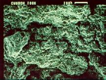 Biofiltration Can Occur with Anthracite, Sand, or GAC 10X Re-Agglomerated Coal Particulates 100 X 1 millimetre Voids in the
