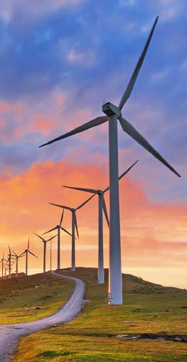 Drivers for developing a renewable energy strategy Energy and resource optimization has risen up company management agendas as they seek to: Meet publicly announced sustainability commitments and