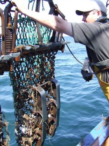 Development and testing of lower impact fishing gears to mitigate their