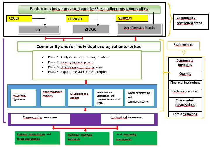 Figure3: Community Forest Enterprise Model within TNS and Figure3: Community Forest Enterprise Model within TNS and For both indigenous and non-indigenous communities within both landscapes,
