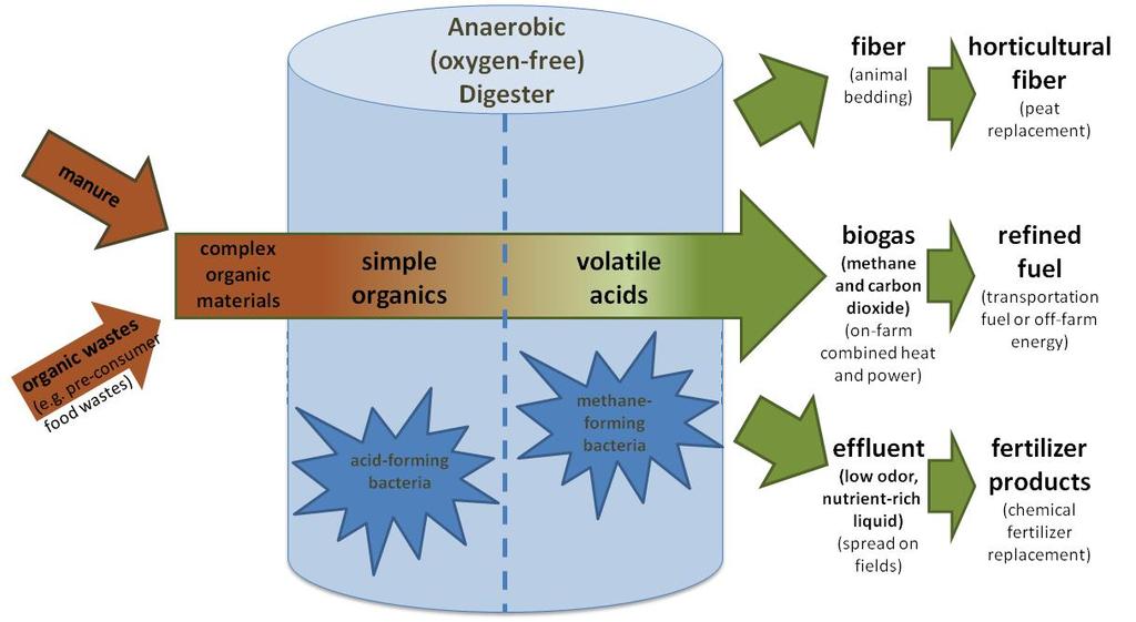 Concerns about climate change have increased interest in anaerobic digestion (AD), a commercially available technology increasingly used to treat livestock manure on concentrated animal feeding