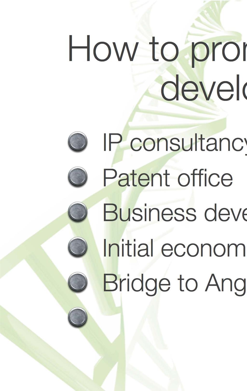 How to promote start-up development IP consultancy (freedom to operate) Patent office Business