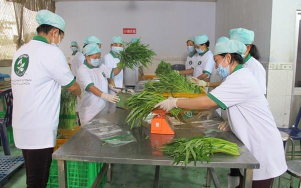II. SOME OF THE ACHIEVEMENTS The country now has 29 high-tech agricultural parks were built and put into planning in 12 provinces and cities as models of safe vegetable cultivating in Ho Chi Minh