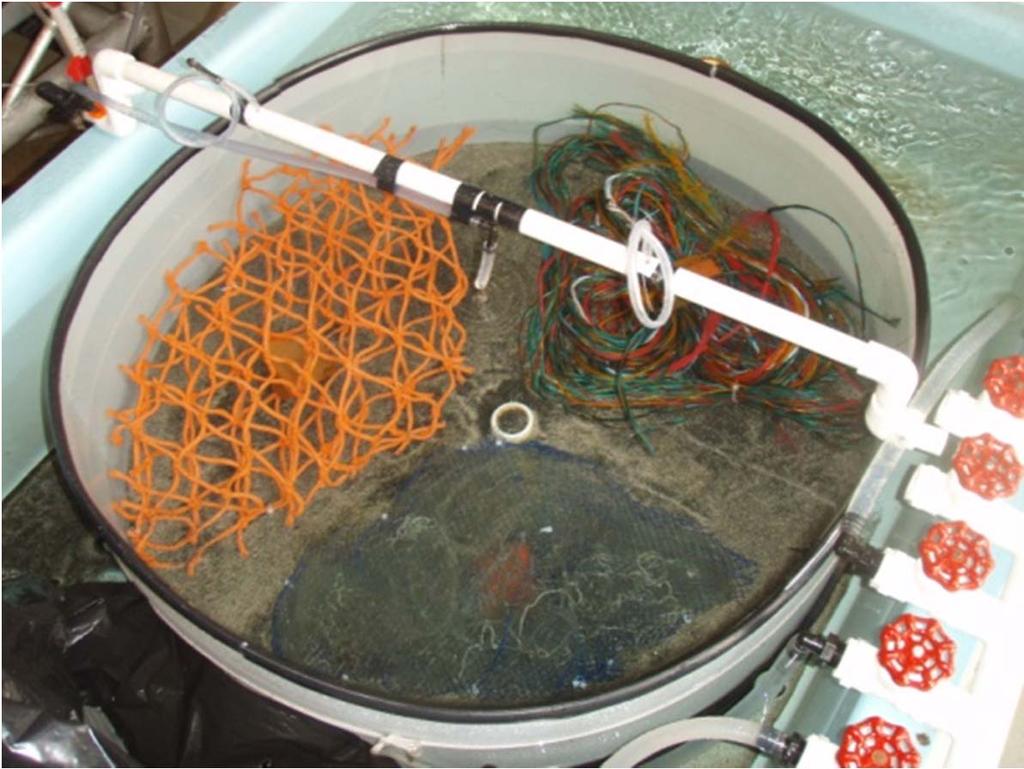 Laboratory Experiments with Juvenile King Crab: Preferences for Substrate Orientation and