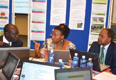 Agriculture in climate change strategies in Kenya Within the Kenya Climate Change Action Plan (2013 2017), agriculture is recognized as a sector with great potential for contributing, in an