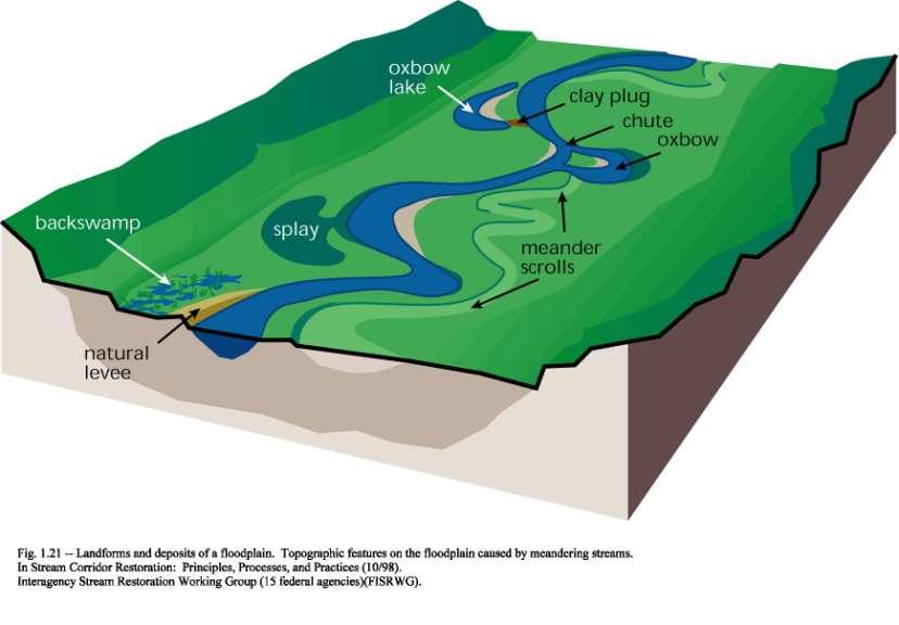 Floodplains Are Dynamic Systems Source: Stream Corridor Restoration: Principles, Processes, and Practices. 1998.
