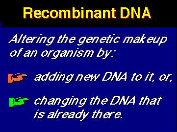 Genetic Engineering AKA: Recombinant DNA or transgenic