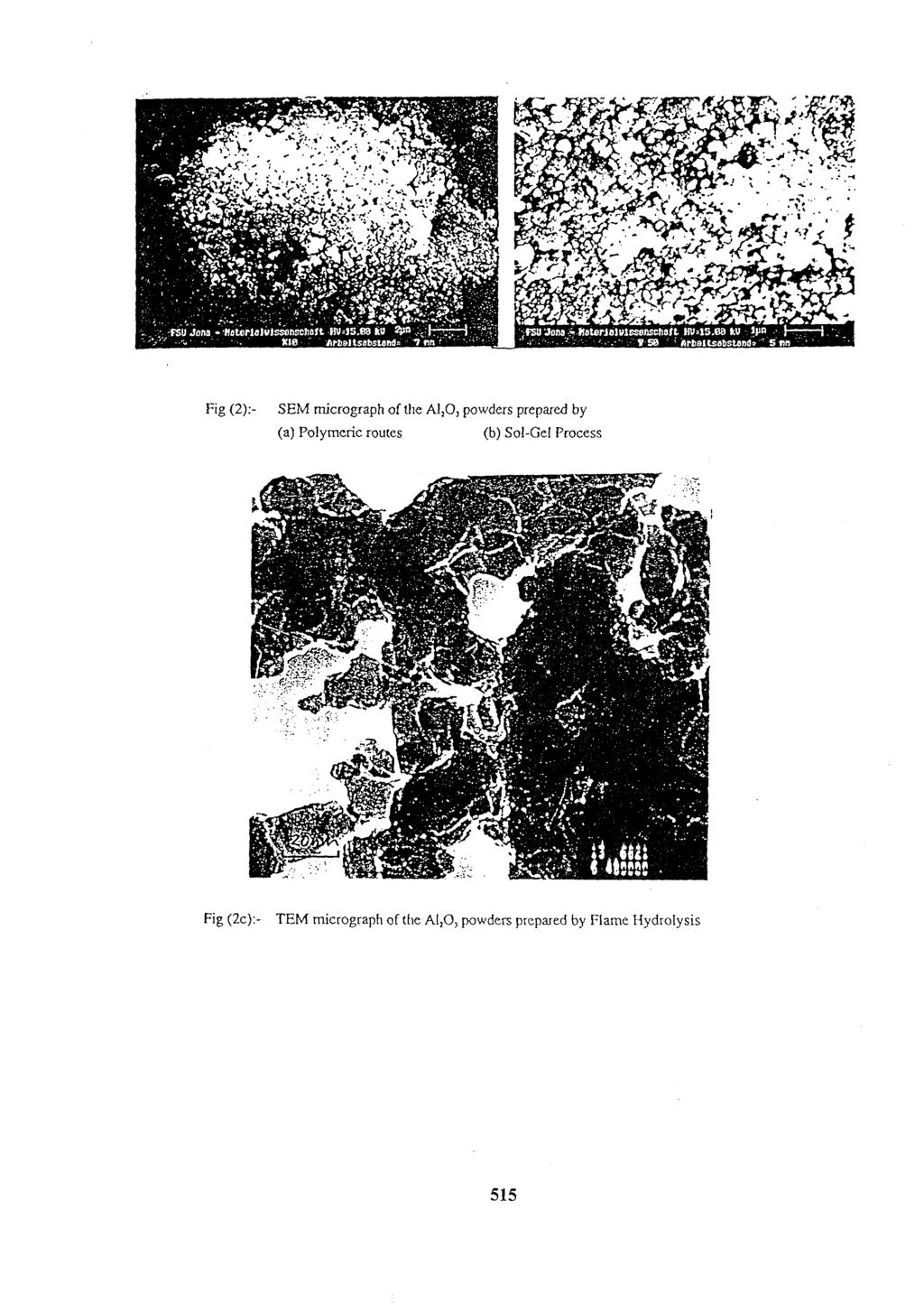 Fig (2):- SEM micrograph of the AI,O, powders prepared by (a) Polymeric routes (b) So!-Ge!