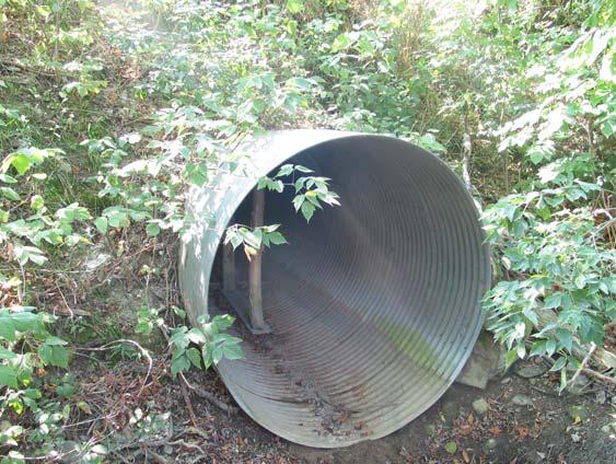 Figure 2 Old Steel Culvert Under Nottawa Side Road: This culvert was removed and the side road cull de sac pulled back to provide room to create a naturalized valley and watercourse with natural