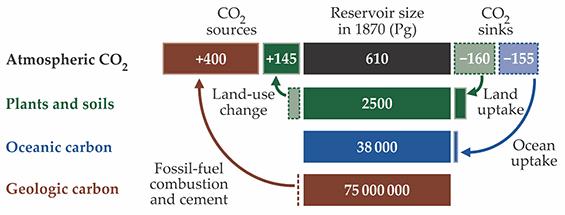 Yet another way to visualize the carbon budget Citation: Physics Today 69, 11, 48 (2016); full article Each row of the diagram represents a carbon reservoir, with the amount of carbon in