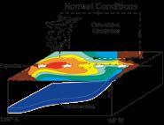Normal conditions: strong upwelling of cold subsurface