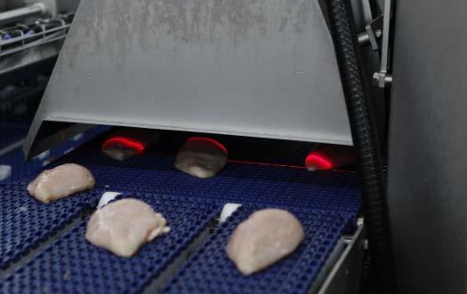As each fillet enters the I-Cut 122, it is scanned and its weight assessed.
