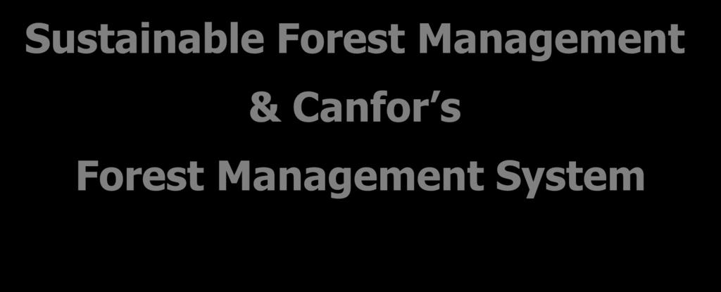 s Forest Management