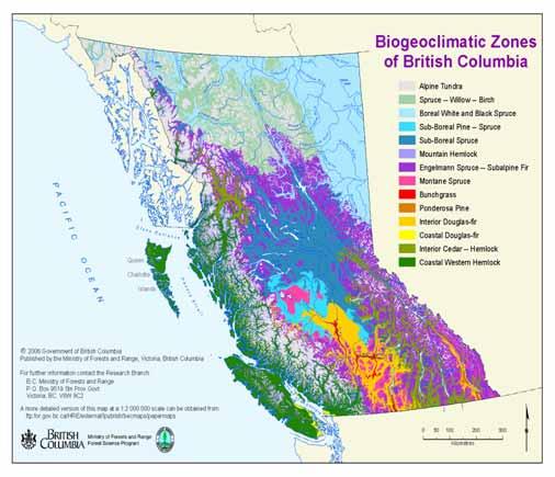 Ecologically Diverse Forests Canada s most biologically and