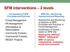 If you look at the FAO criteria for SFM, between the key themes or guidelines and the SFM India criteria, there is not much difference. It matches very well.