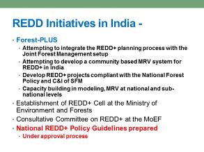 In India we do not have any UN REDD or World Bank REDD projects. There is one externally funded project and it is called Forest-PLUS 3. India decided not to call it REDD+.