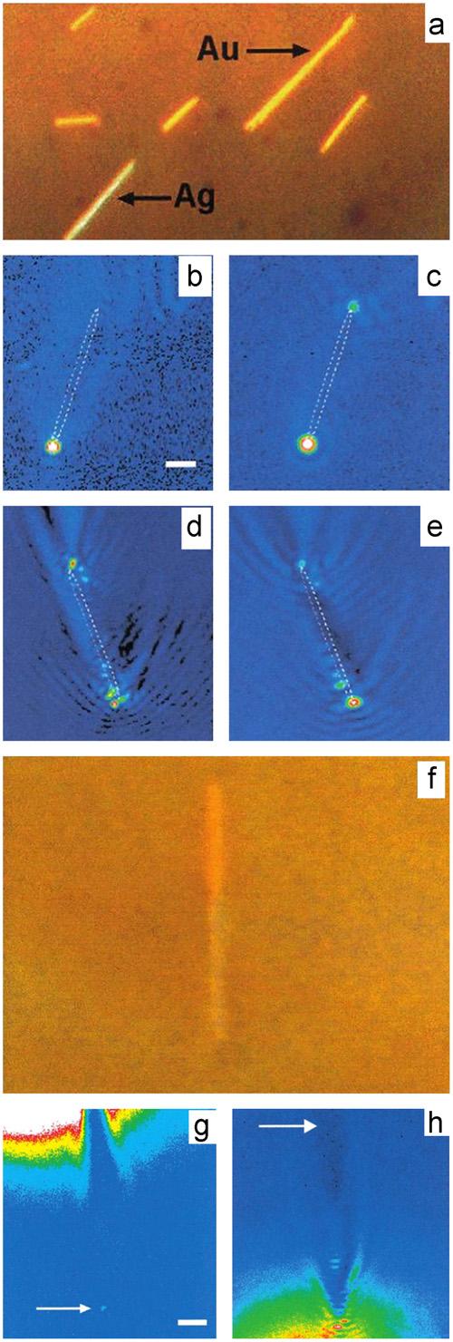 Plasmonic nano-lasers 31 Gain assisted localized plasmons compensation Figure 6 (a) Au and Ag nanorods used for the plasmon propagation experiments; (b) optical microscope image of a 4.